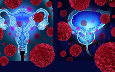 ¿Qué es el VPH?